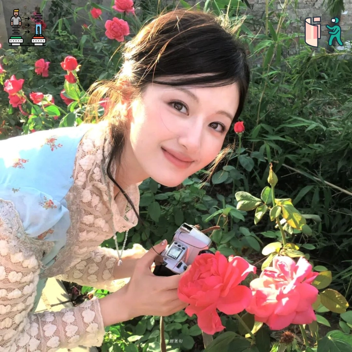宋佳女士